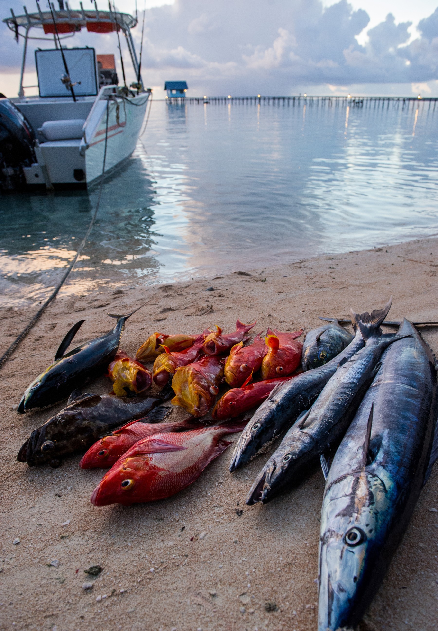 Pension Cocoperle Lodge